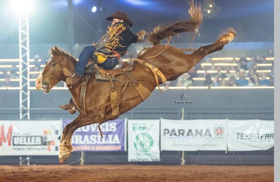 Rodeio